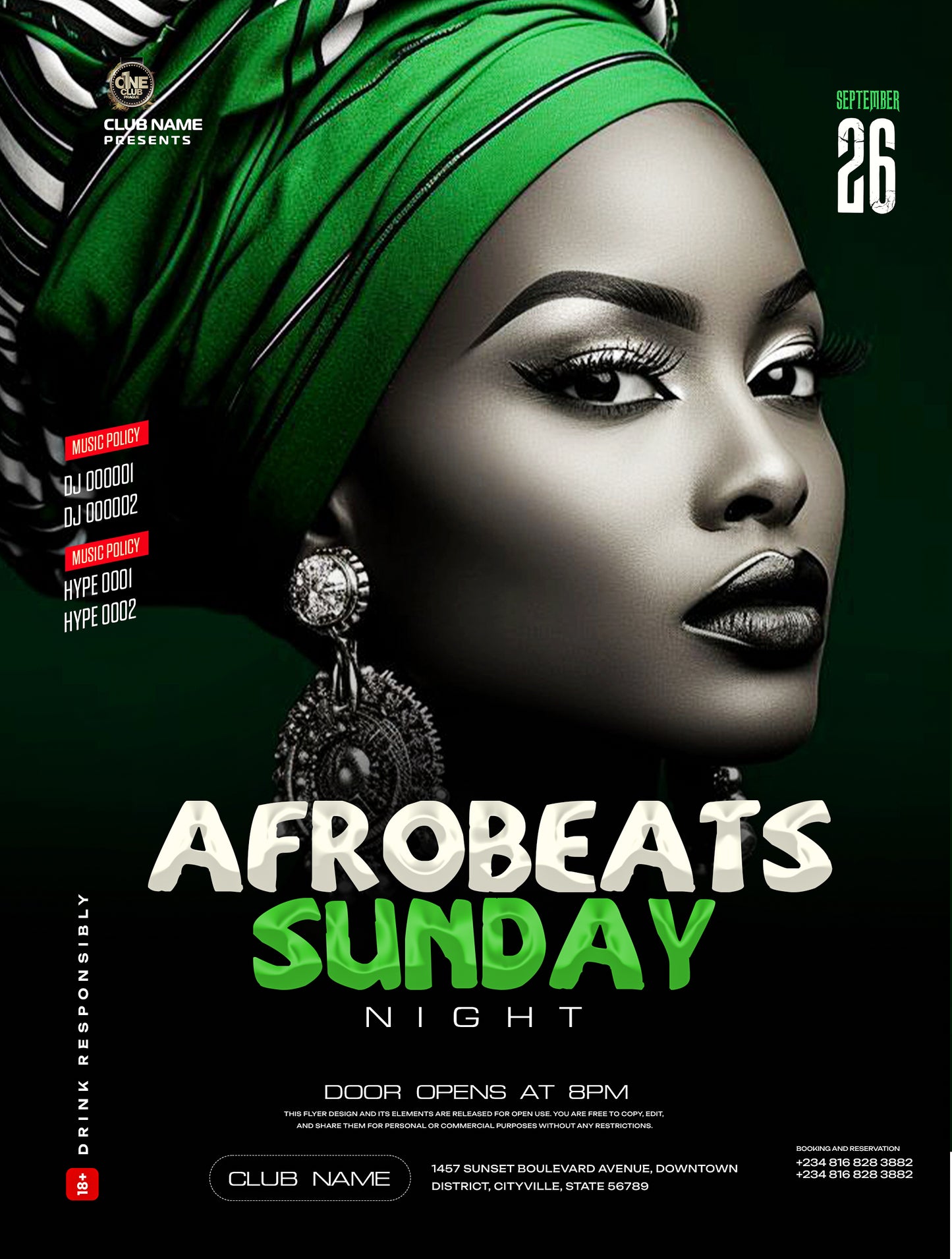 PREMIUM PROMO FLYER PACK