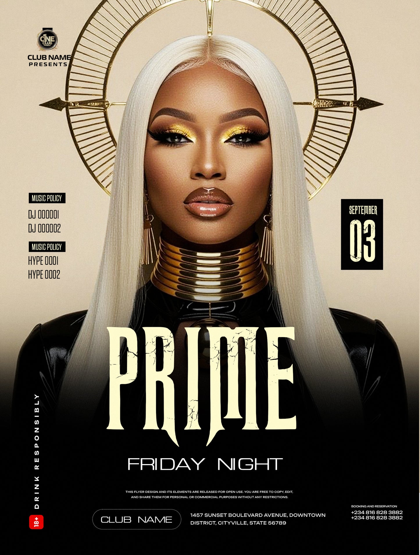 PREMIUM PROMO FLYER PACK